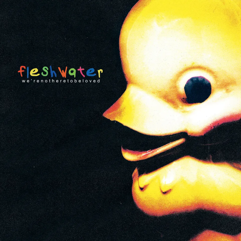 fleshwater-we-re-not-here-to-be-loved-vinyle-lp-marbr image 1