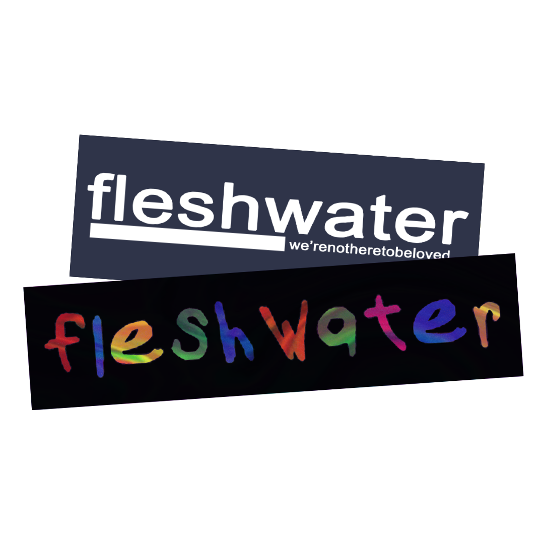 fleshwater-sticker-pack-autocollants-vinyle-holographique-2-pcs image 1