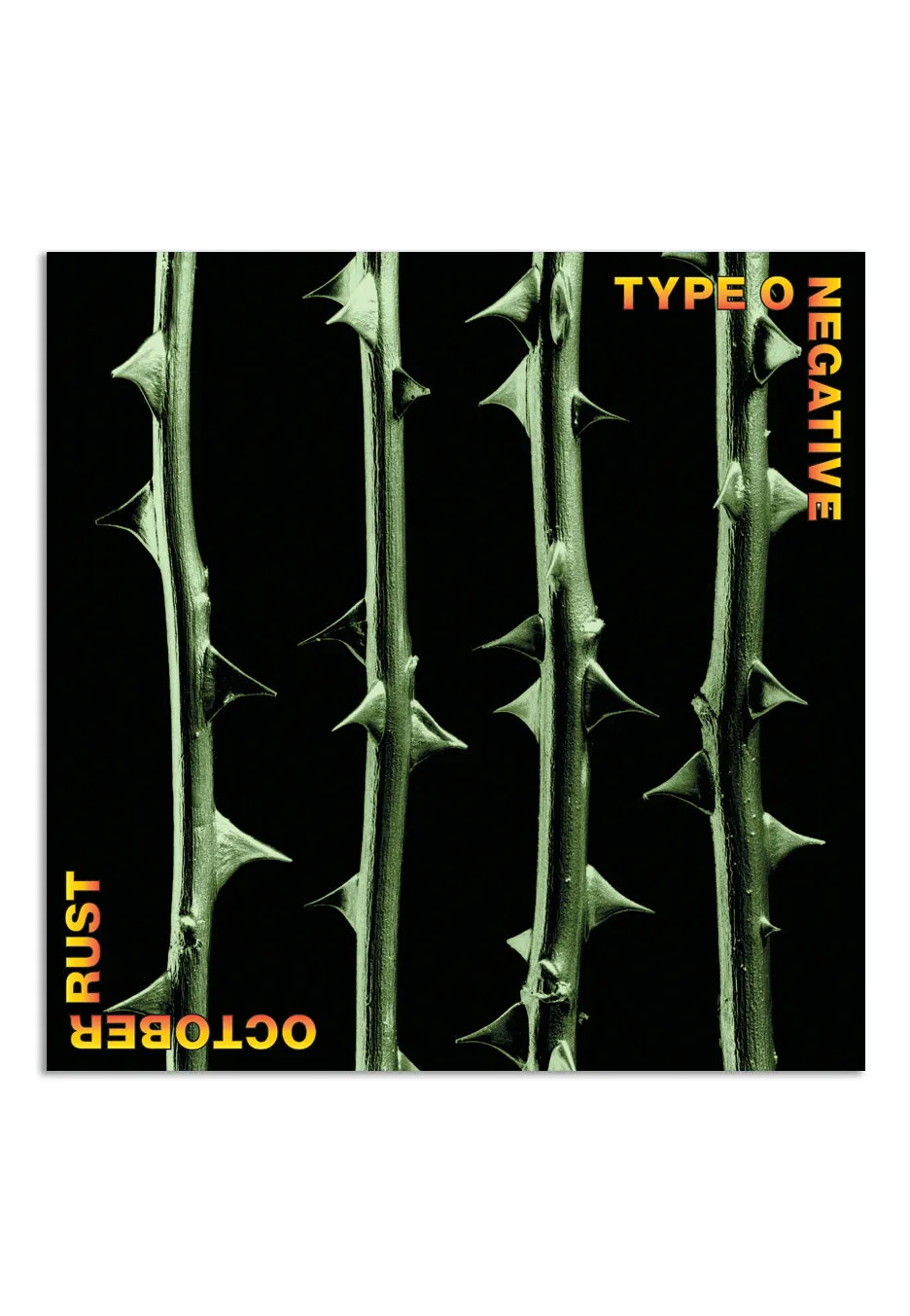 type-o-negative-october-rust-picture-double-vinyle-exclusif-gothique image 1