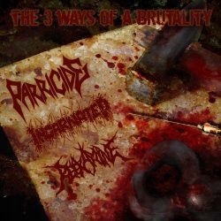 parricide-incarnated-reexamine-3-ways-cd-import image 1