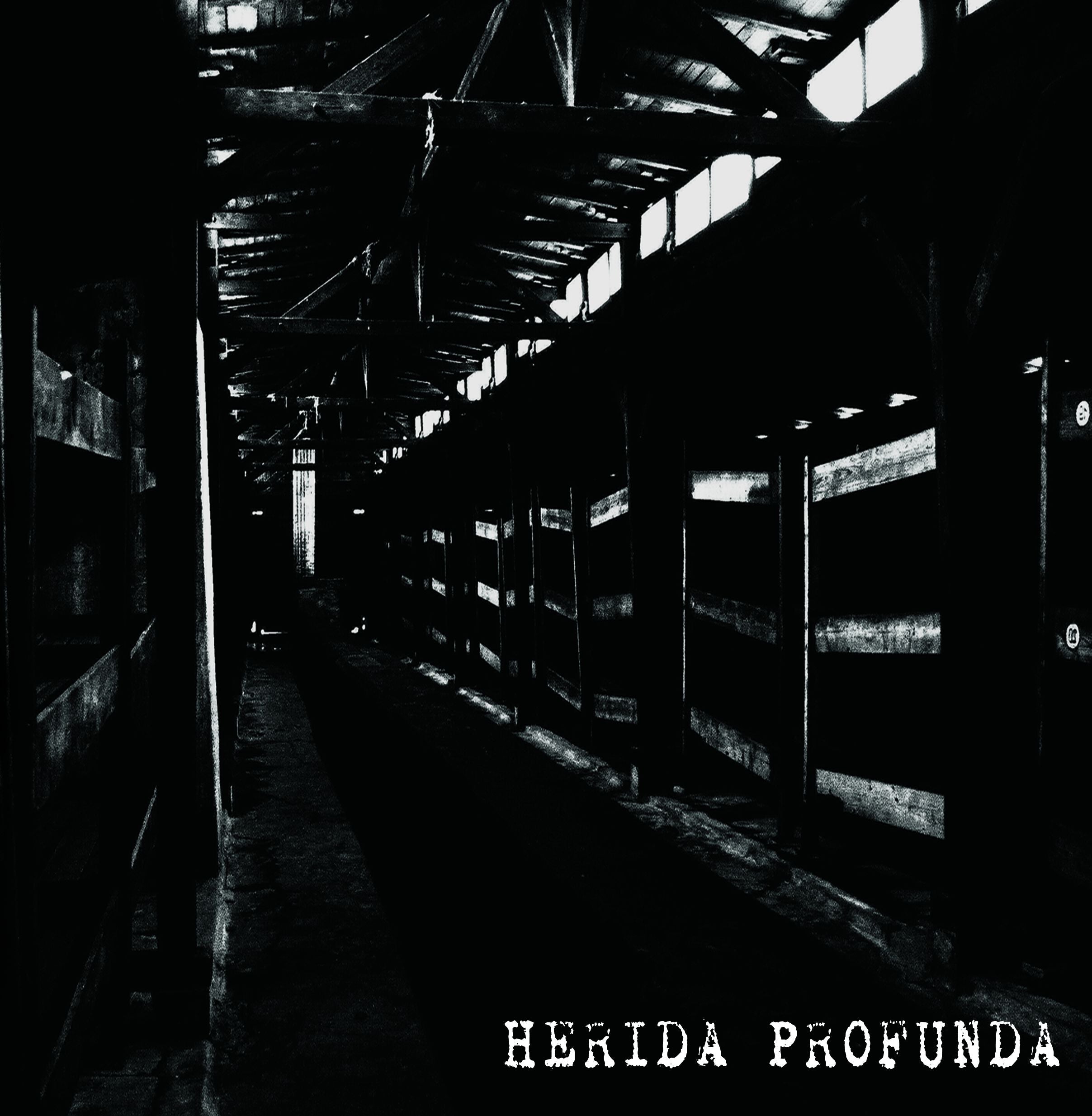 783punx-lp-herida-profunda-s-t-vinyle-noir-gatefold image 1
