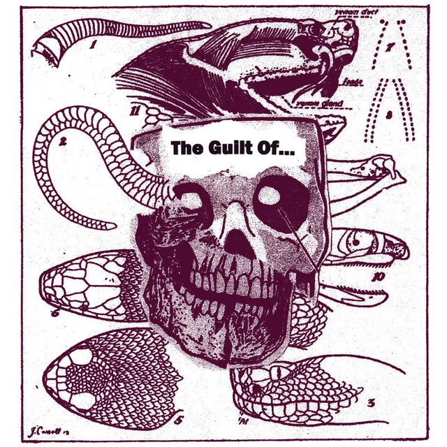 the-guilt-of-the-guilt-of-lp-vinyle-noise image 1