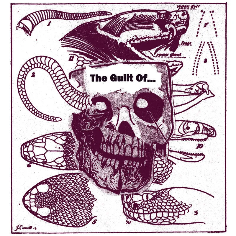 the-guilt-of-the-guilt-of-lp-vinyle-noise image 1