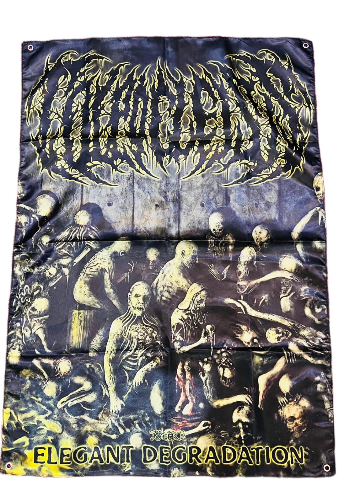colpocleisis-elegant-degradation-drapeau-mural-100x70-cm-licence-officielle image 2