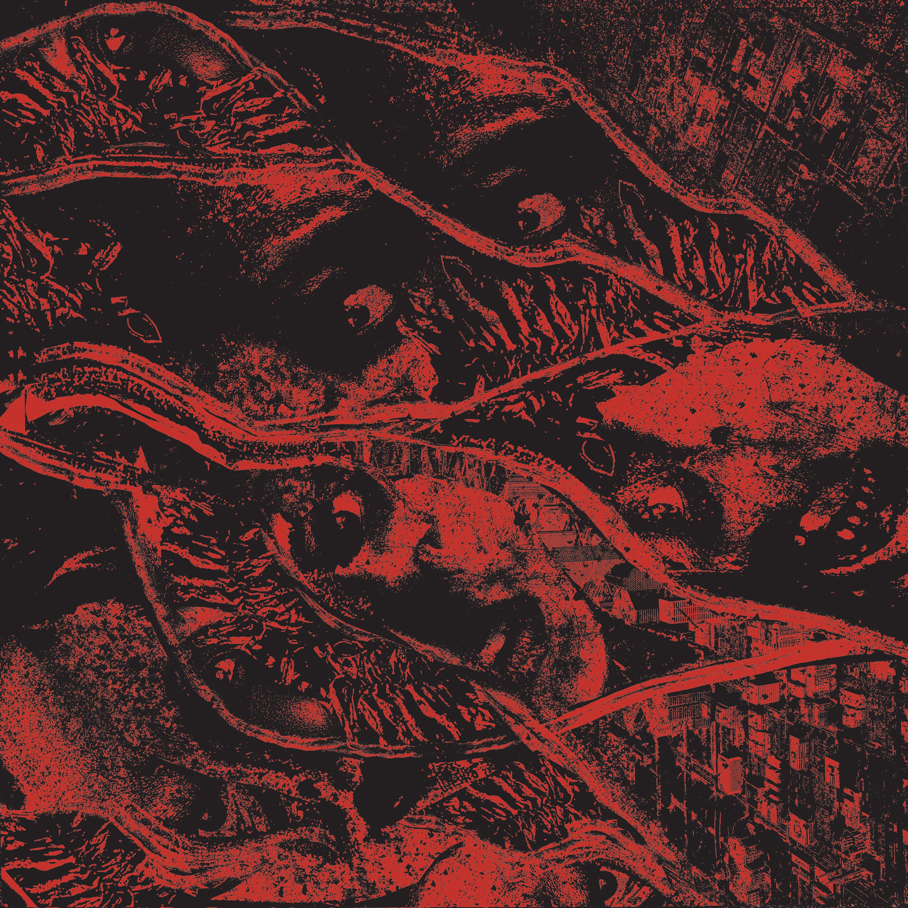 vermin-womb-retaliation-vinyle-lp-rouge-cloudy image 1