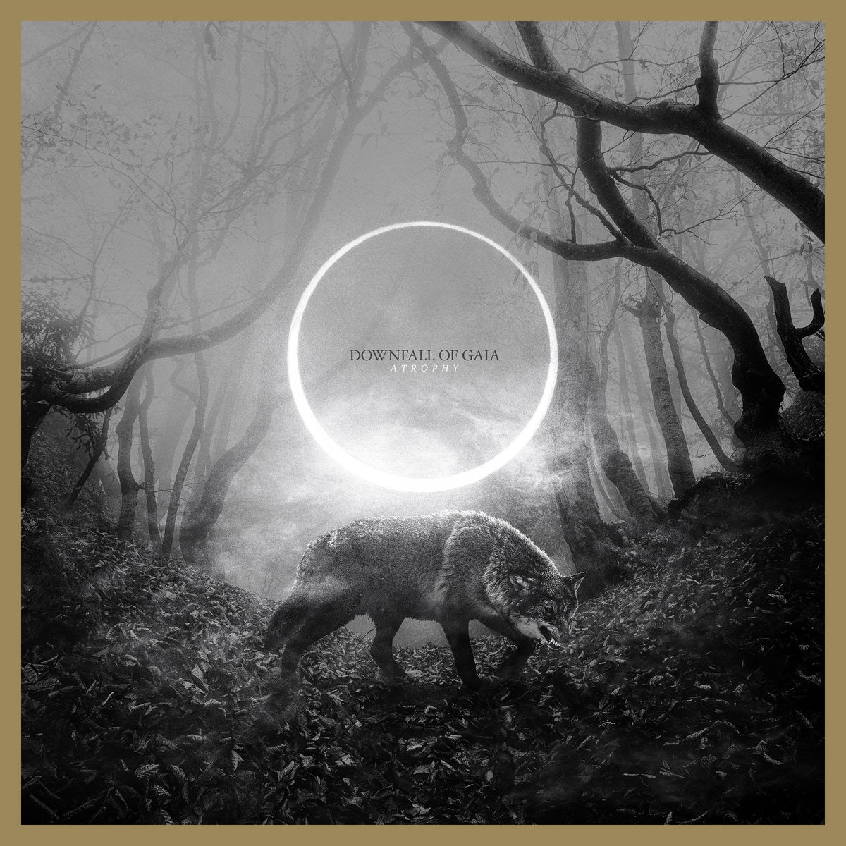 downfall-of-gaia-atrophy-vinyle-lp-jaune-marbr-num-rot-200 image 1