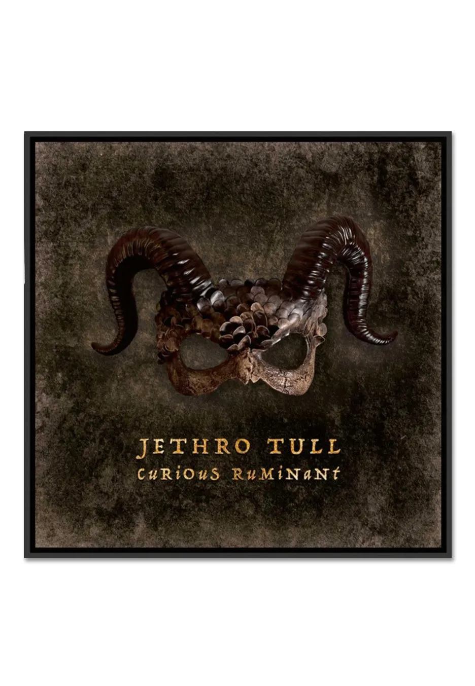 jethro-tull-curious-ruminant-cd-digipak-rock-progressif image 1