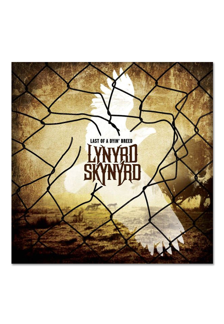 lynyrd-skynyrd-last-of-a-dyin-breed-double-vinyle-dor-2-lp image 2