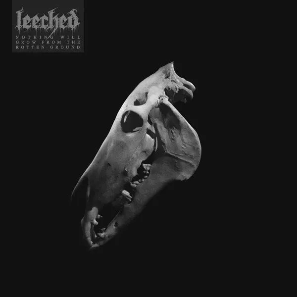 leeched-nothing-will-grow-12-ep-vinyle-hardcore image 1