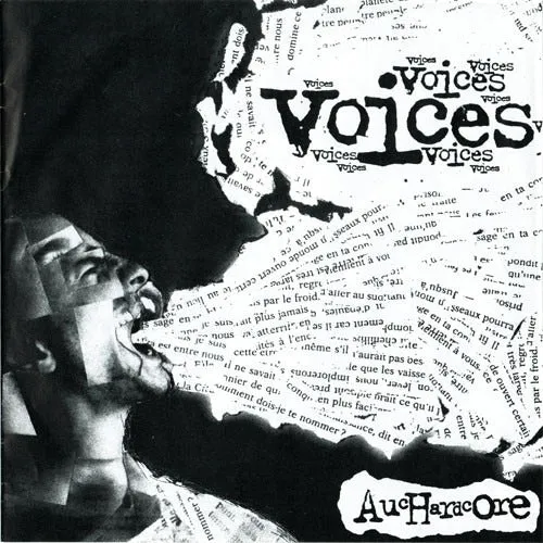 v-a-voices-auchardcore-double-7-ep-vinyle image 1