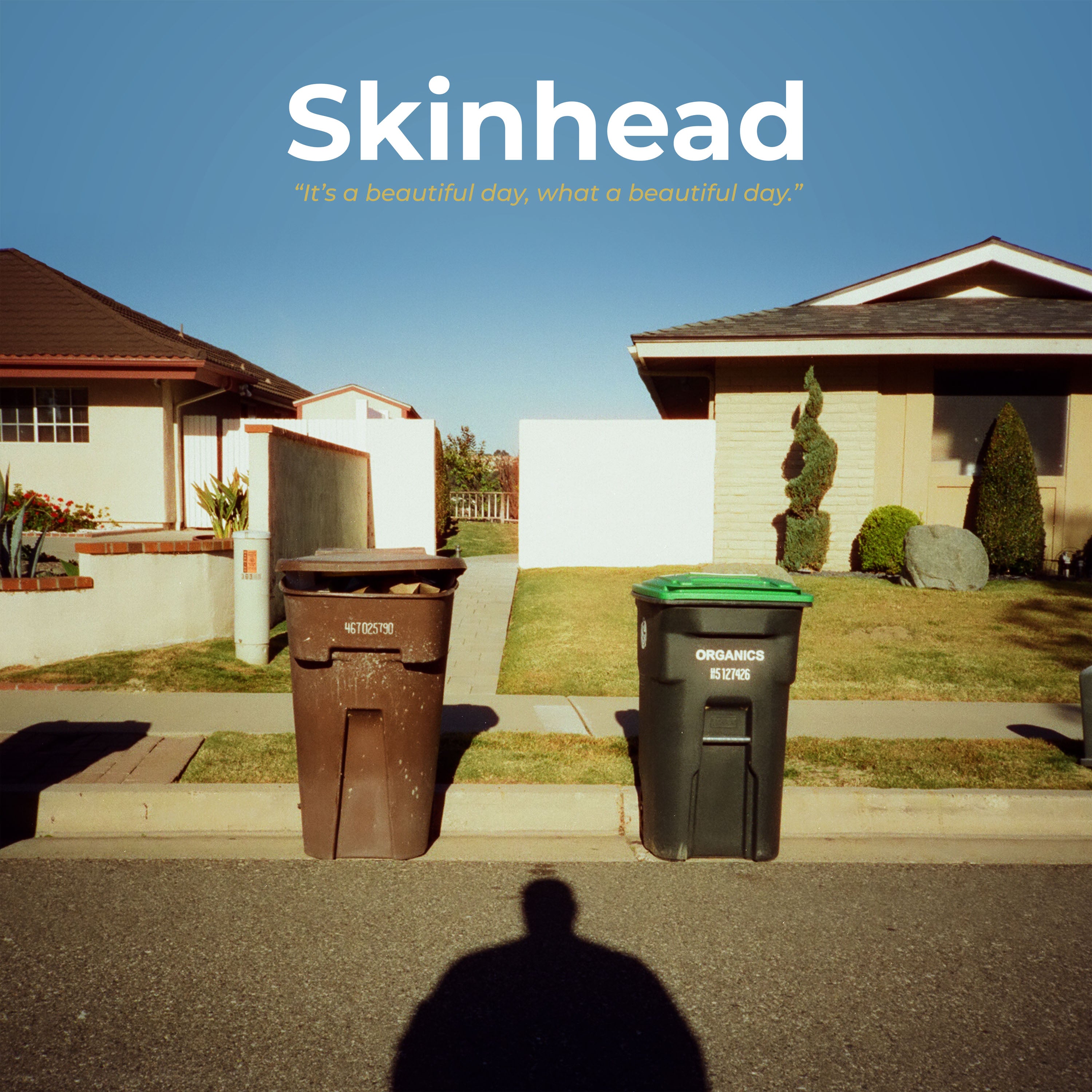 skinhead-it-s-a-beautiful-day-vinyle-lp-bleu-blanc-marbr image 1