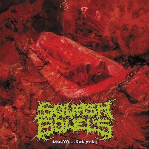 squash-bowels-dead-not-yet-cd-import-japon-grindcore image 1