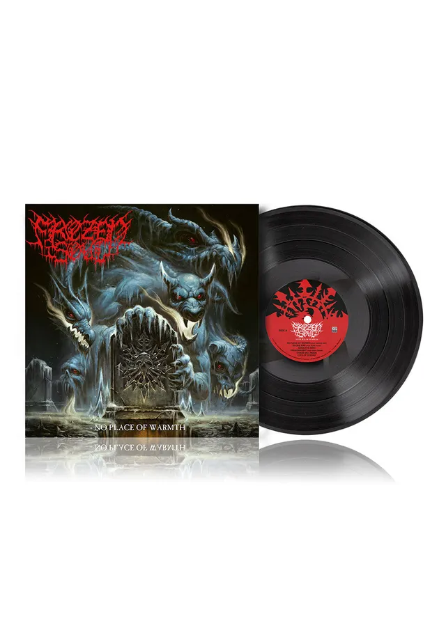 frozen-soul-no-place-of-warmth-vinyle-lp-death-metal-limit image 1