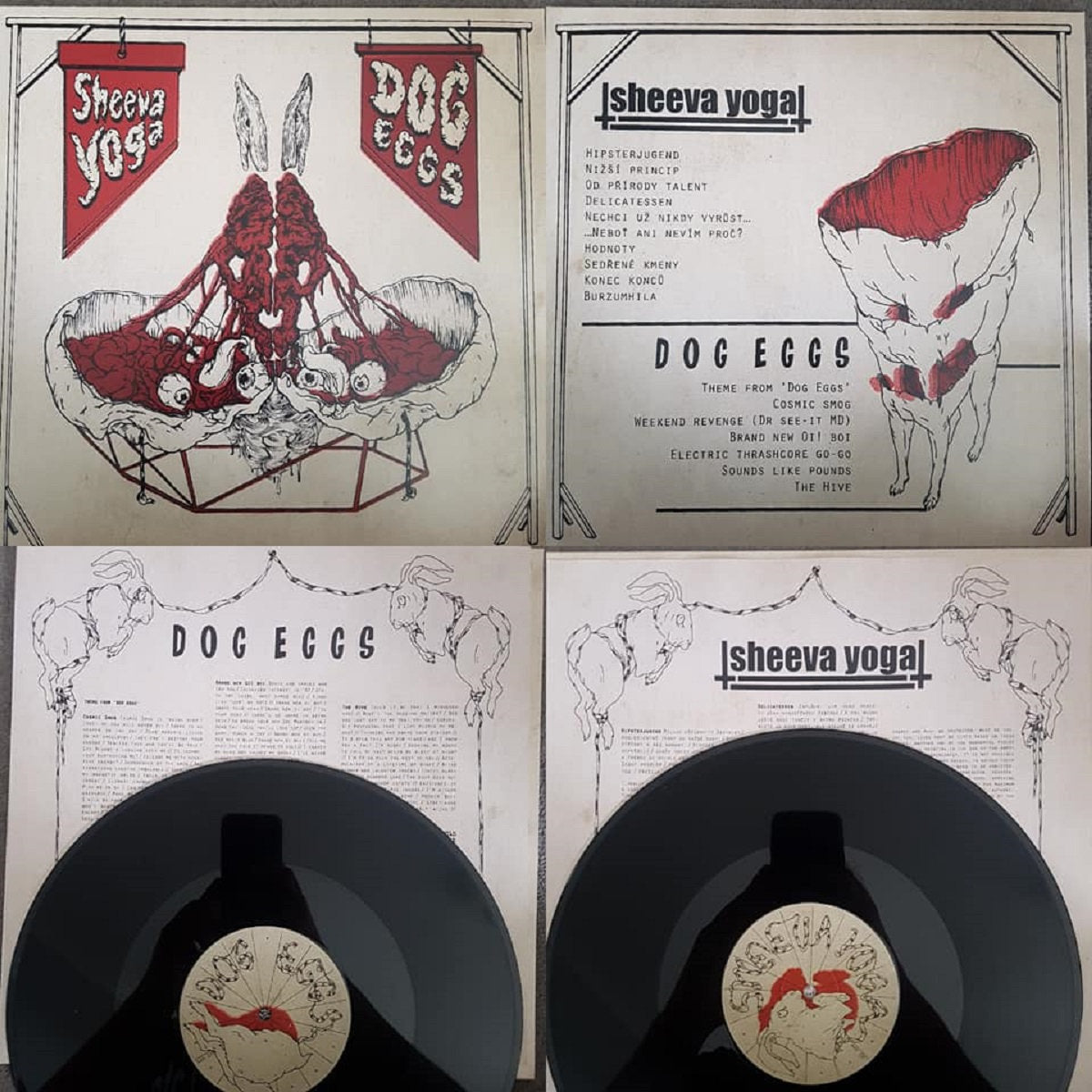 sheeva-yoga-dog-eggs-split-lp-vinyle-hardcore-grind image 2