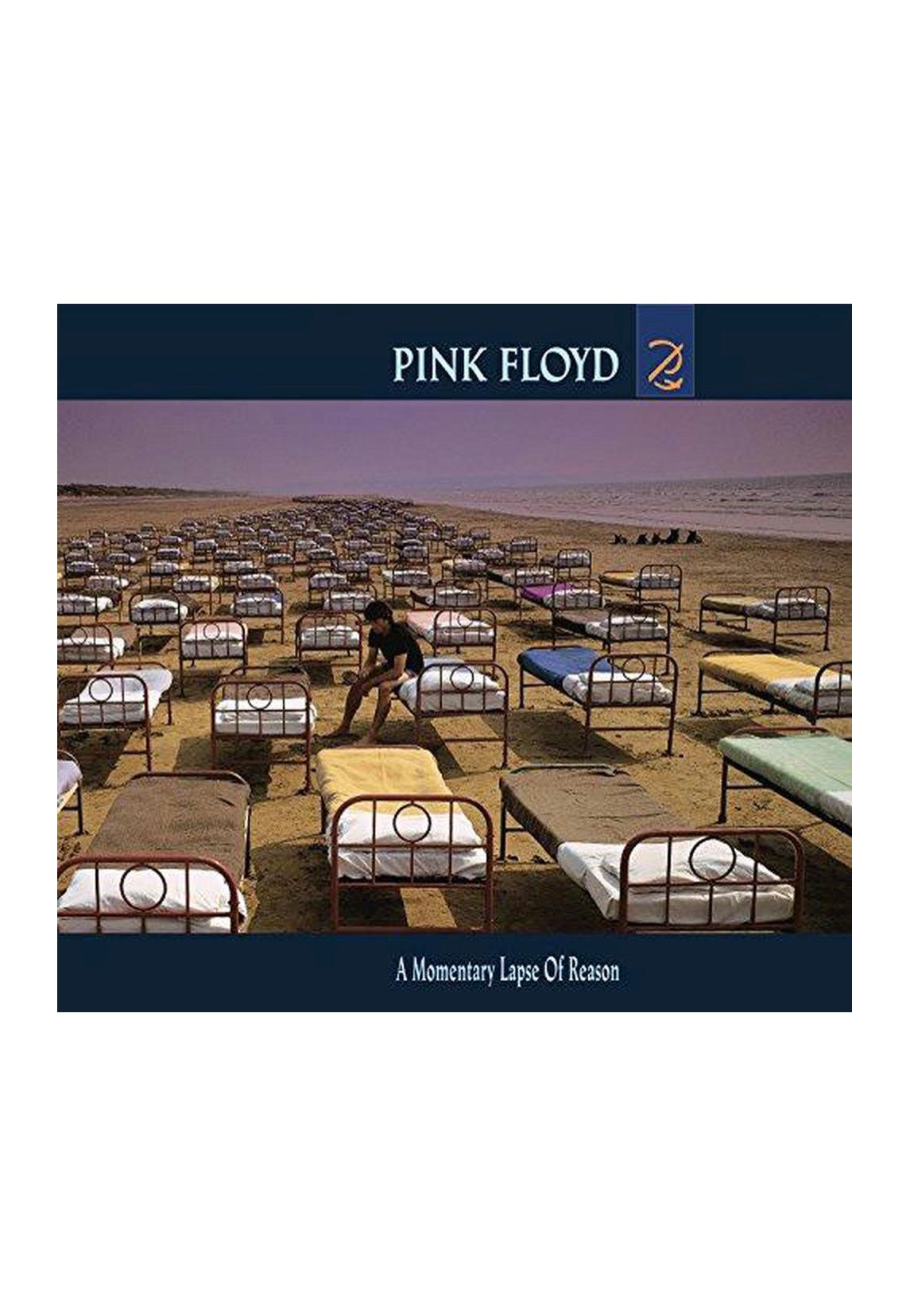 pink-floyd-a-momentary-lapse-of-reason-vinyle-remasteris image 2