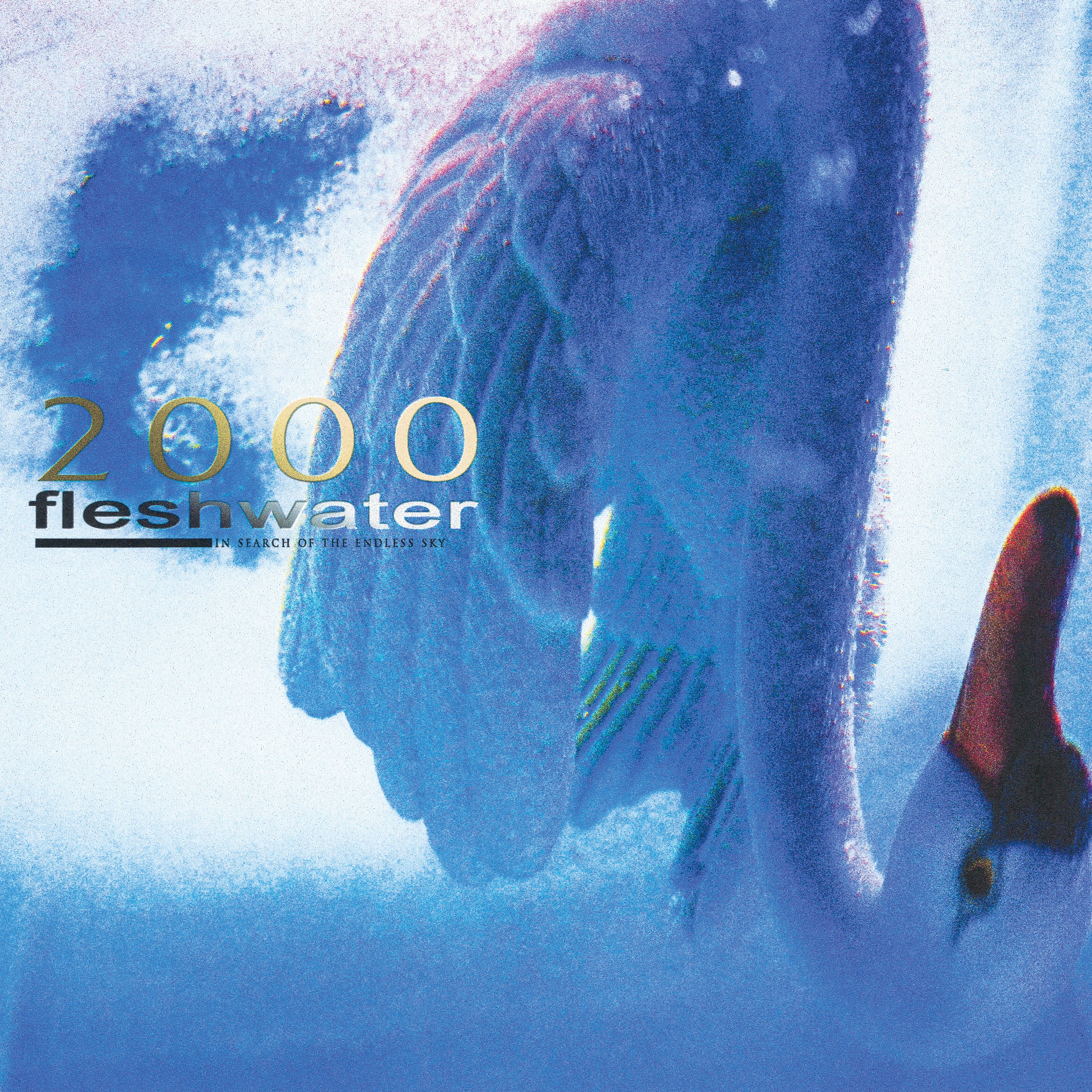 fleshwater-2000-in-search-of-the-endless-sky-vinyle-lp-violet image 1