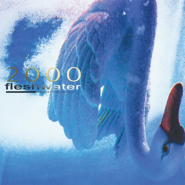 fleshwater-2000-in-search-of-the-endless-sky-vinyle-lp-violet image 1
