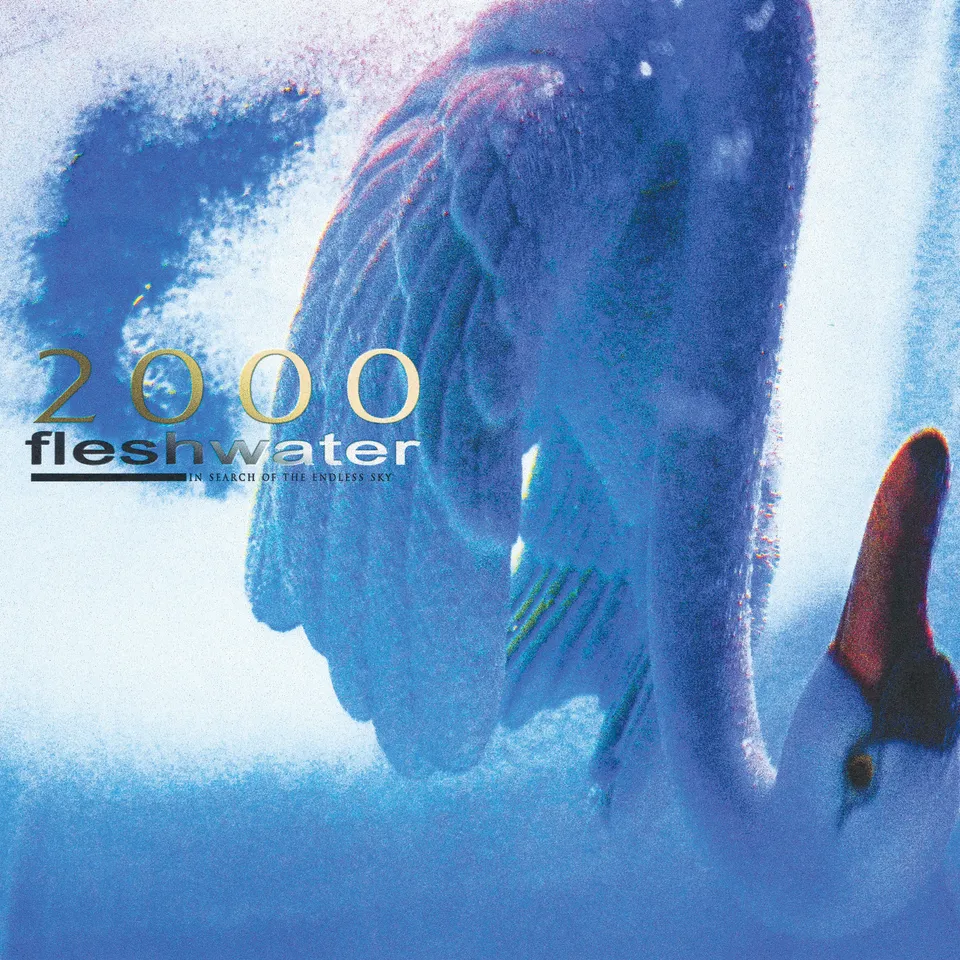 fleshwater-2000-in-search-of-the-endless-sky-vinyle-lp-violet image 1