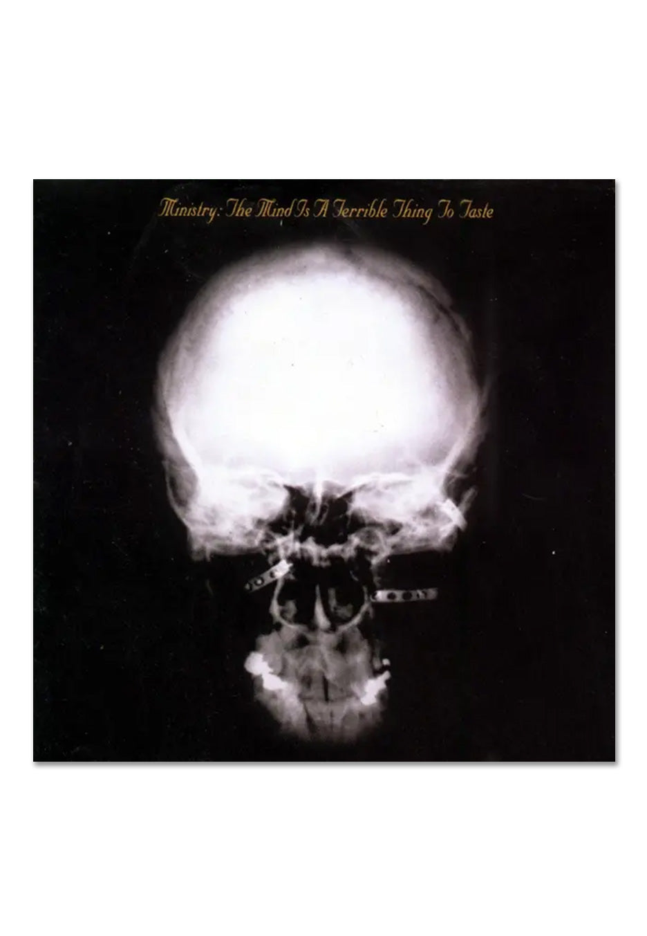 ministry-the-mind-is-a-terrible-thing-double-vinyle image 2