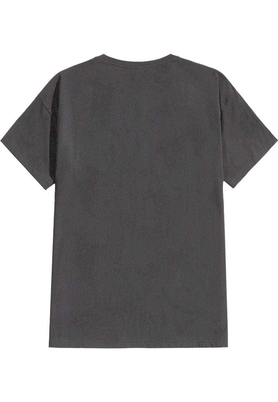 in-flames-end-of-time-t-shirt-gris-homme image 2