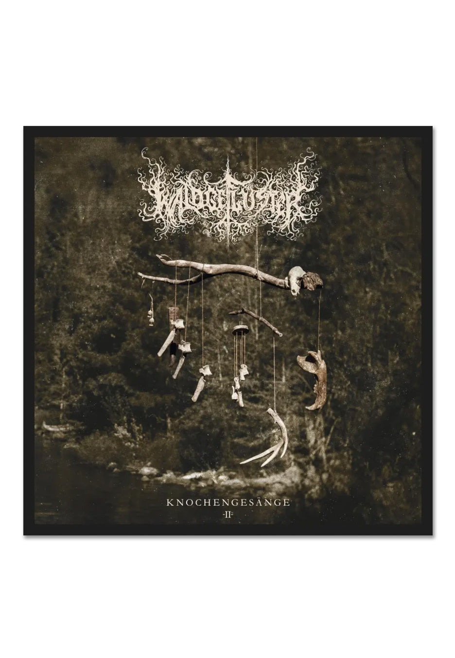 waldgefl-ster-knochenges-nge-ii-cd-digipak-black-metal image 2