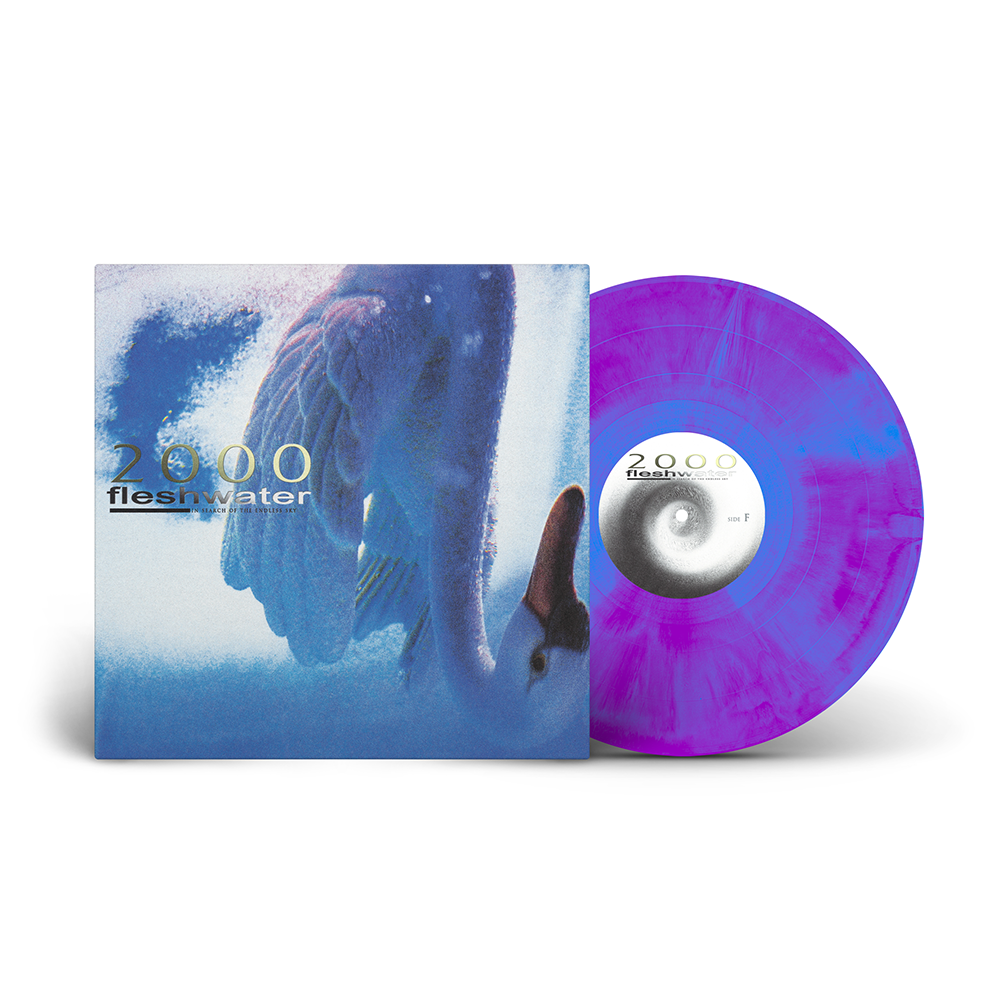 fleshwater-2000-in-search-of-the-endless-sky-vinyle-lp-violet image 4