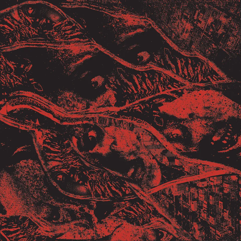 vermin-womb-retaliation-vinyle-lp-rouge-cloudy image 1