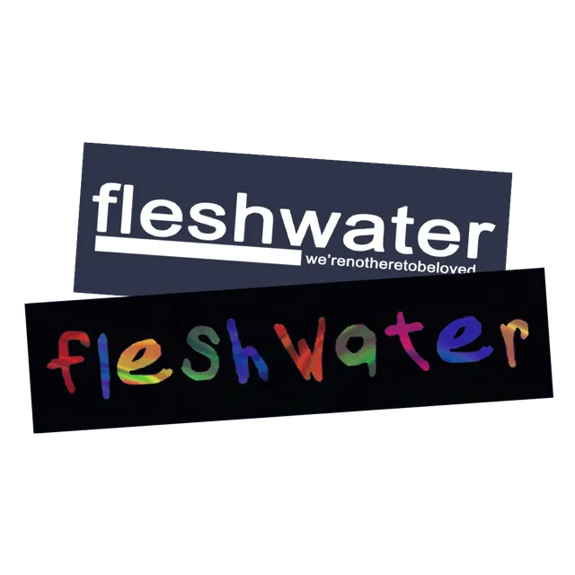fleshwater-sticker-pack-autocollants-vinyle-holographique-2-pcs image 1