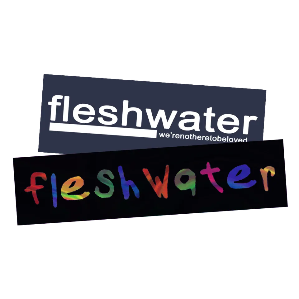 fleshwater-sticker-pack-autocollants-vinyle-holographique-2-pcs image 1