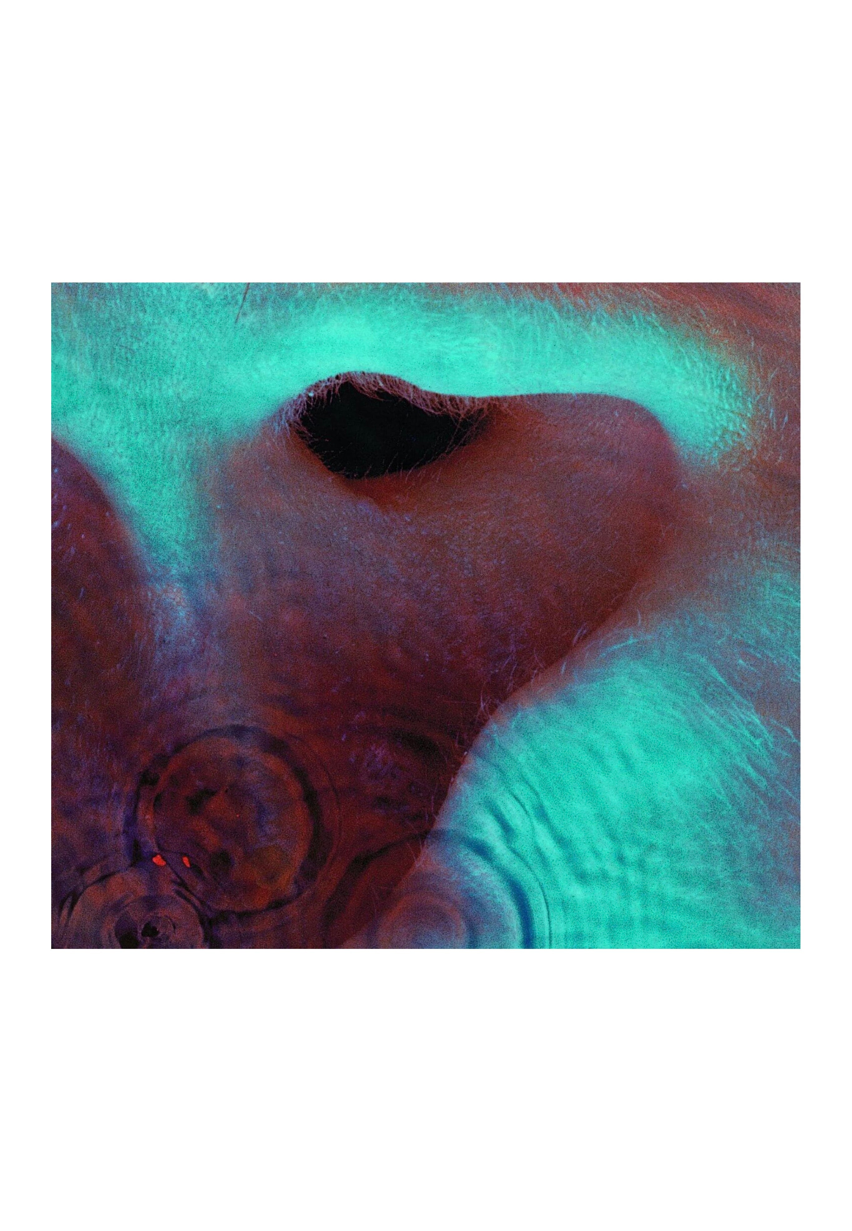pink-floyd-meddle-vinyle-remasteris-lp image 2