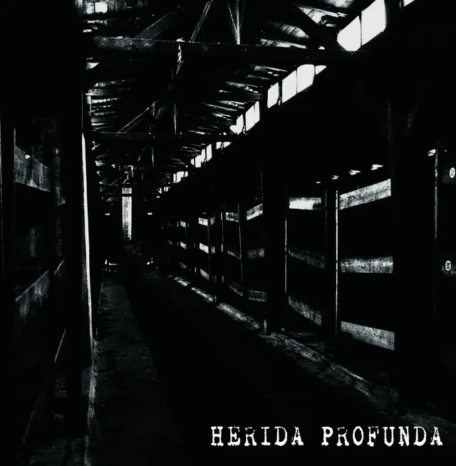 783punx-lp-herida-profunda-s-t-vinyle-noir-gatefold image 1