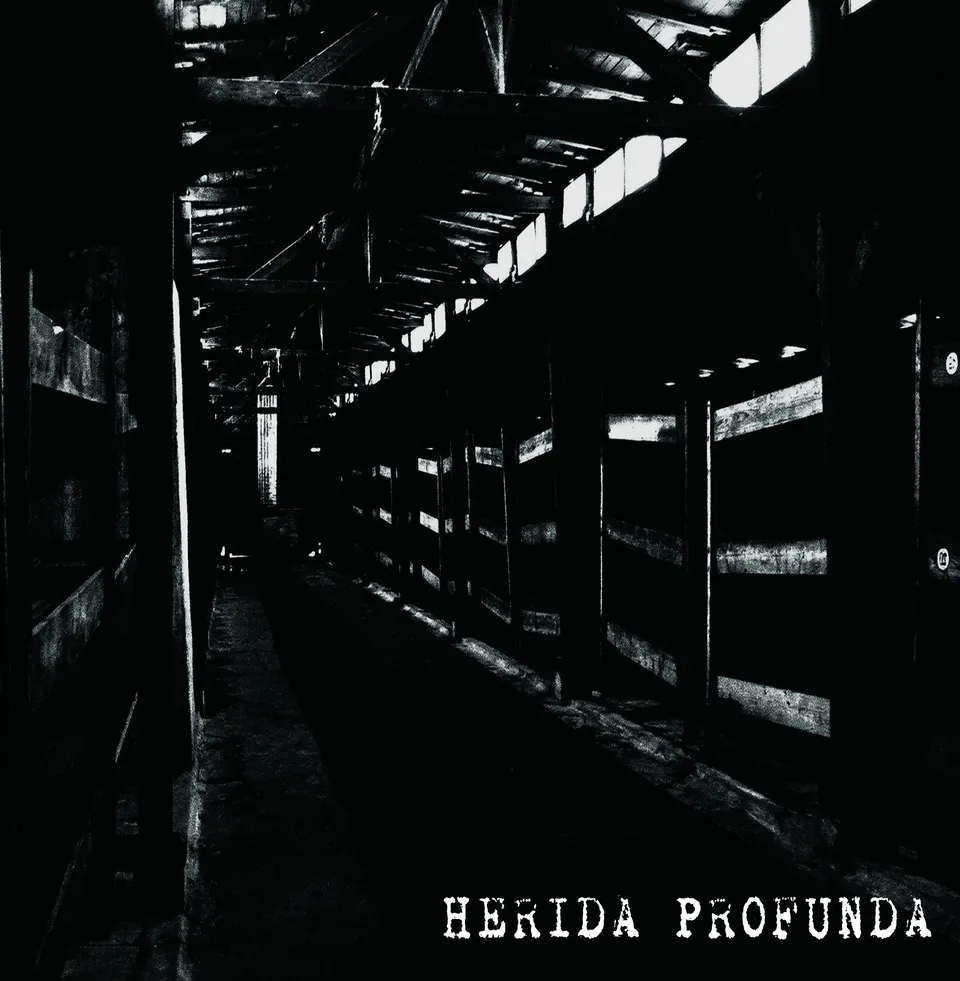783punx-lp-herida-profunda-s-t-vinyle-noir-gatefold image 1
