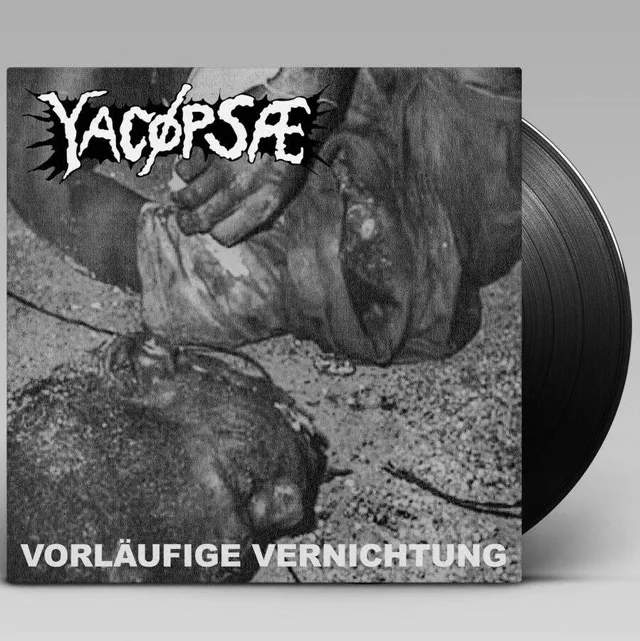 yac-psae-vorl-ufige-vernichtung-vinyle-lp-grindcore image 1