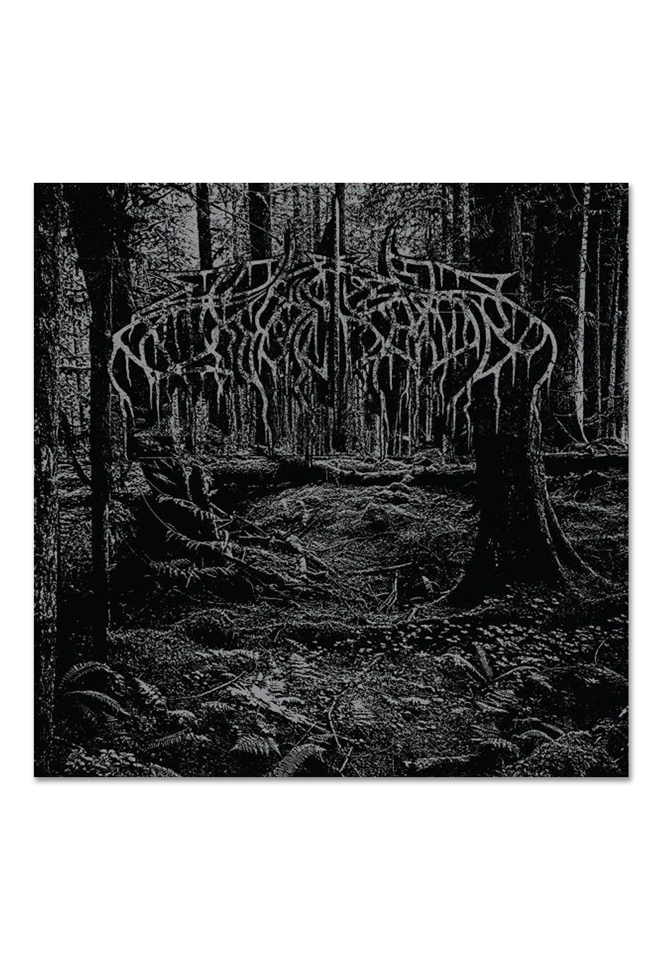 wolves-in-the-throne-room-2005-demo-vinyle-couleur image 2