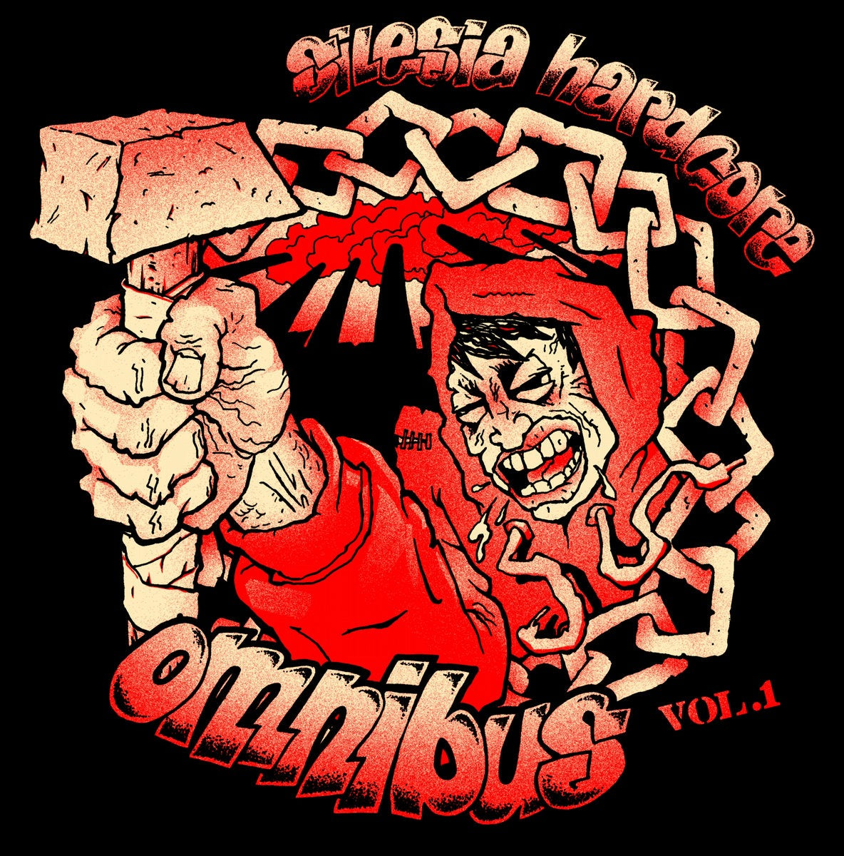 v-a-silesia-hardcore-omnibus-vol-1-ep-vinyle-7 image 1