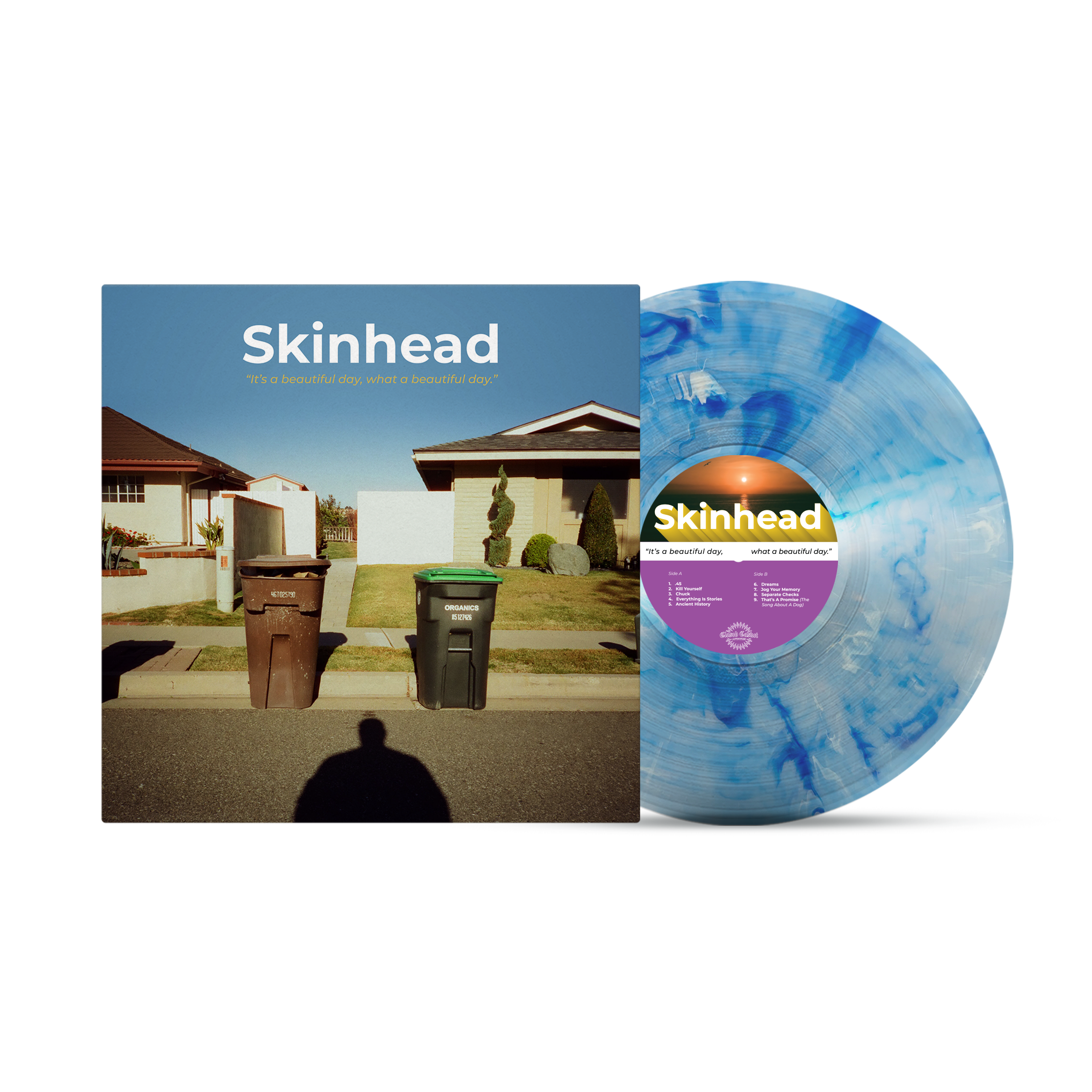 skinhead-it-s-a-beautiful-day-vinyle-lp-bleu-blanc-marbr image 2
