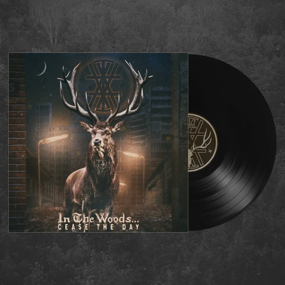 in-the-woods-cease-the-day-double-vinyle-2lp-gatefold image 1