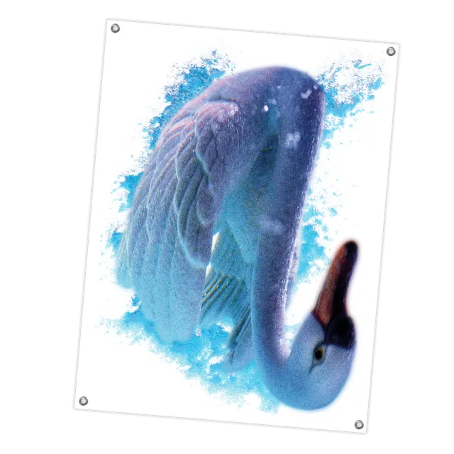 fleshwater-swan-drapeau-tissu-36x48-cygne image 1