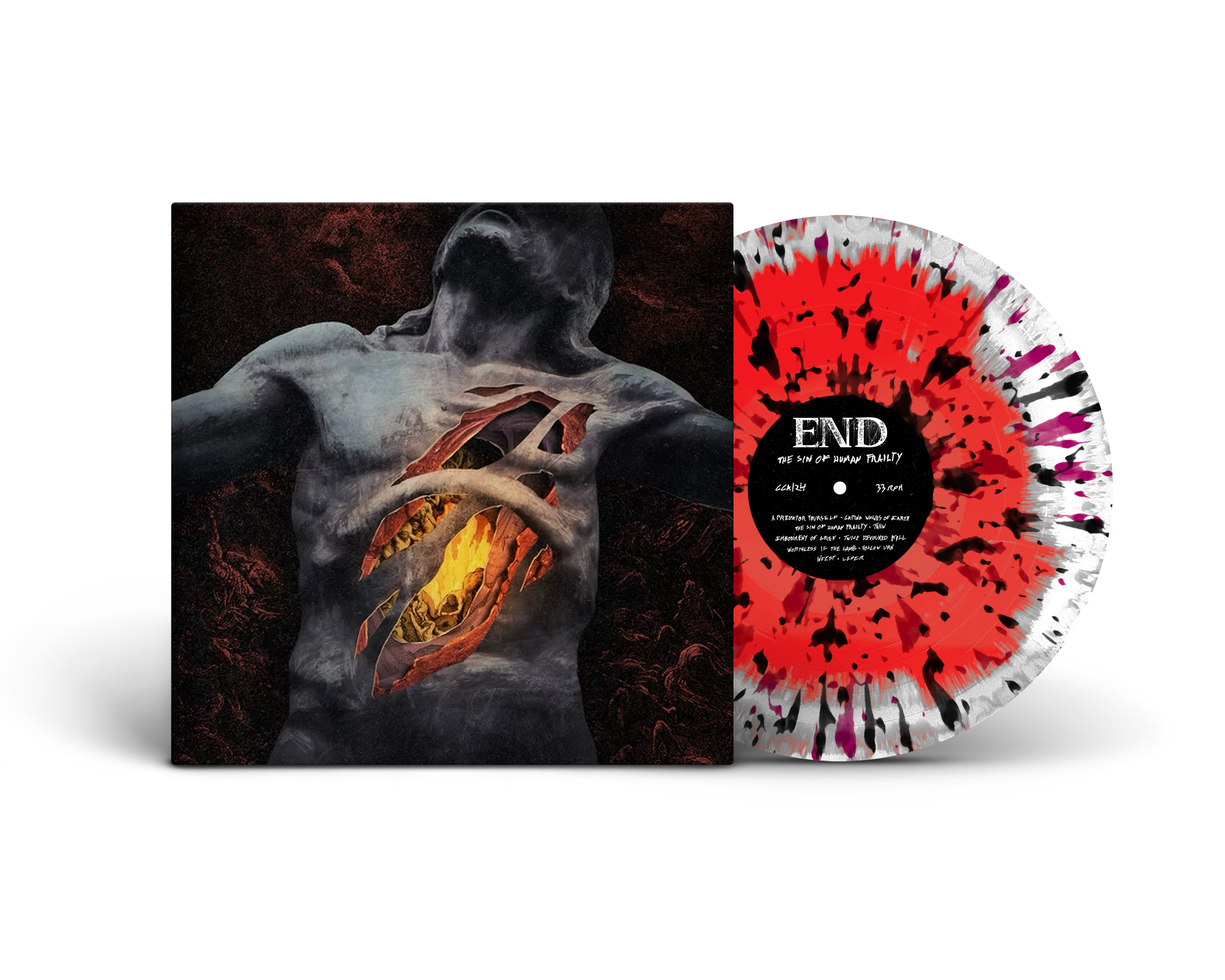 end-the-sin-of-human-frailty-vinyle-lp-ray image 6