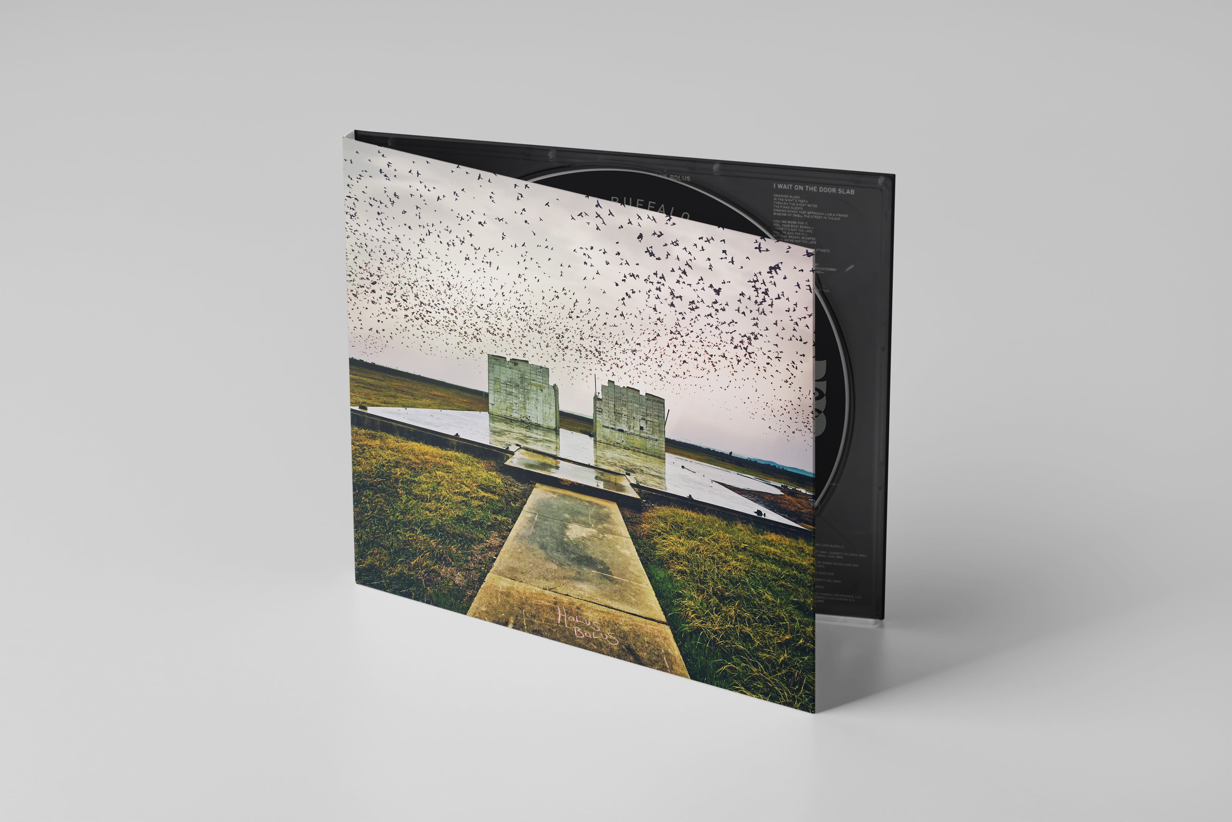 lord-buffalo-holus-bolus-cd-digipak-dition-limit-e-folk-drone image 1