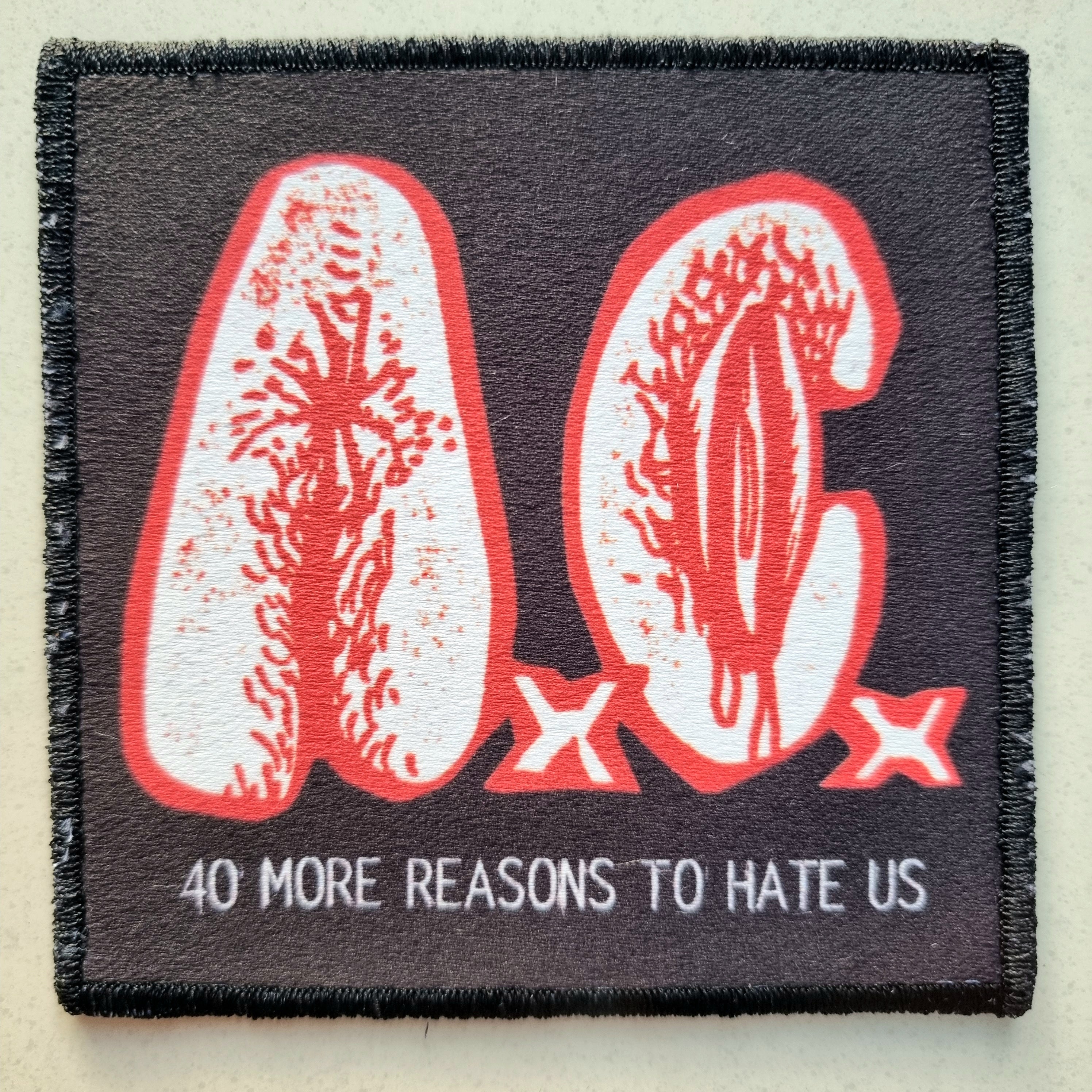 anal-cunt-40-more-reasons-to-hate-us-patch-petit-coudre image 1