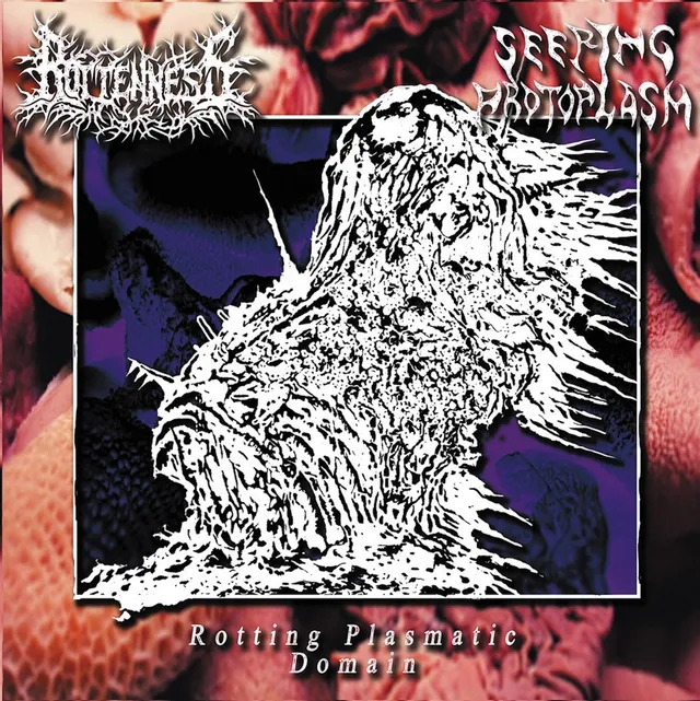 rottenness-seeping-protoplasm-cd-split-import-japon image 1