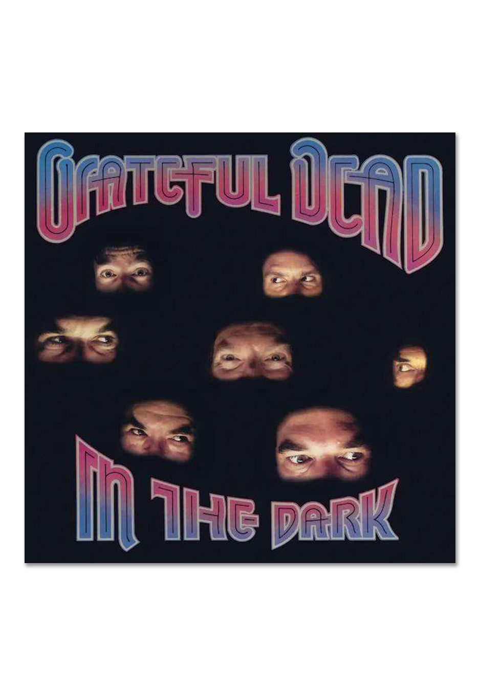 grateful-dead-in-the-dark-vinyle-argent-lp-couleur image 2