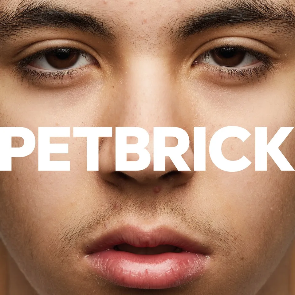 petbrick-i-vinyle-lp-rose-bleu-blanc-merge-hardcore image 1