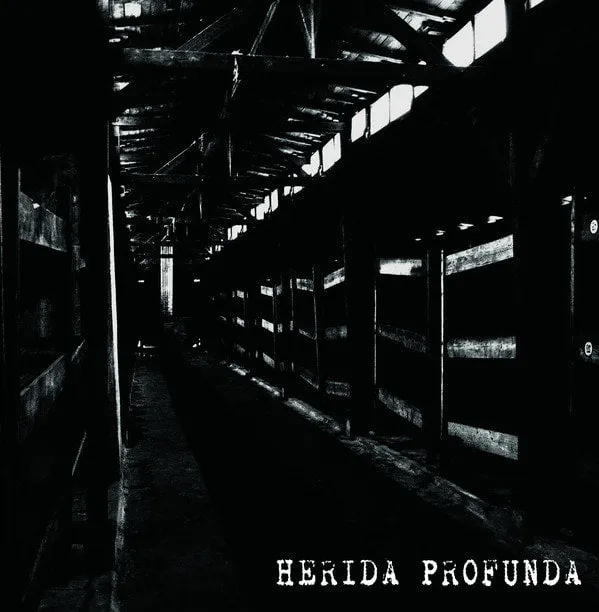 herida-profunda-s-t-cassette-k7-noire-limit-e-75-ex image 1