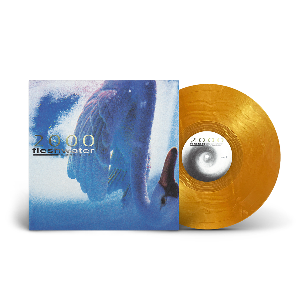 fleshwater-2000-in-search-of-the-endless-sky-vinyle-lp-violet image 2