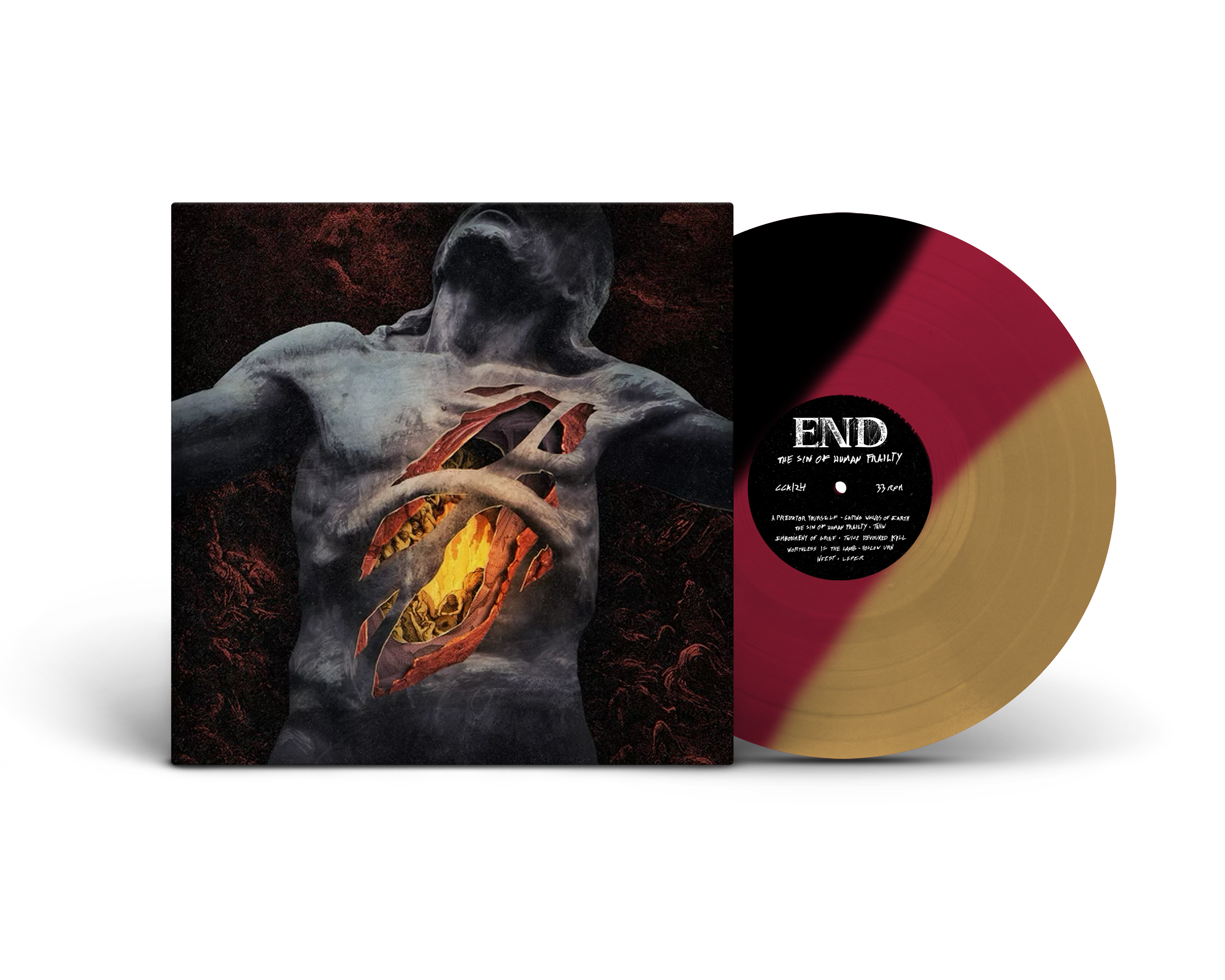 end-the-sin-of-human-frailty-vinyle-lp-ray image 5