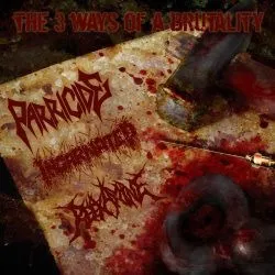 parricide-incarnated-reexamine-3-ways-cd-import image 1
