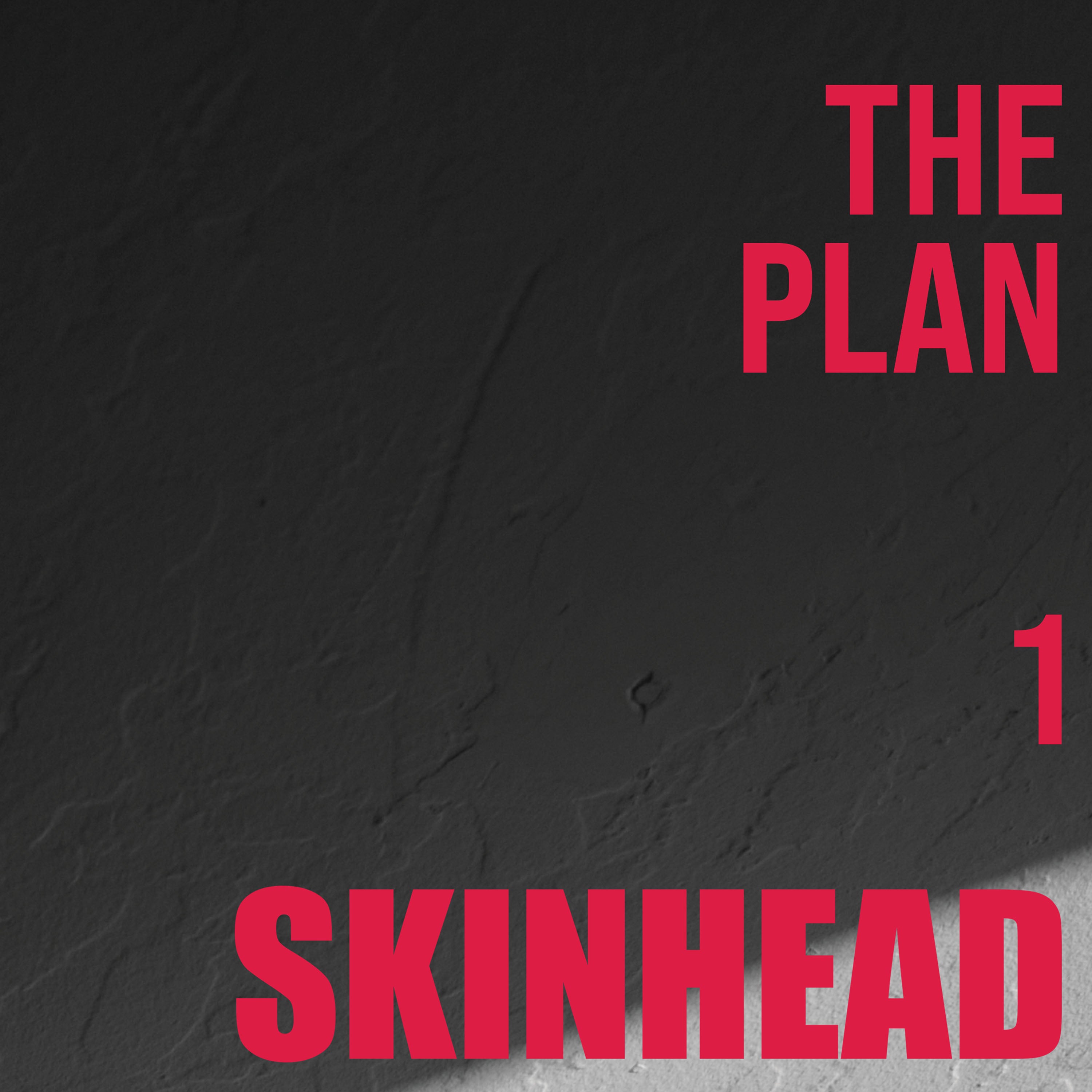skinhead-the-plan-1-ep-7-vinyle-rouge-punk image 1