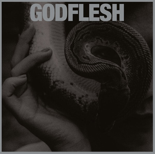 godflesh-purge-vinyle-lp-metal-indus image 1